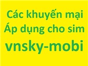 Sim vnsky